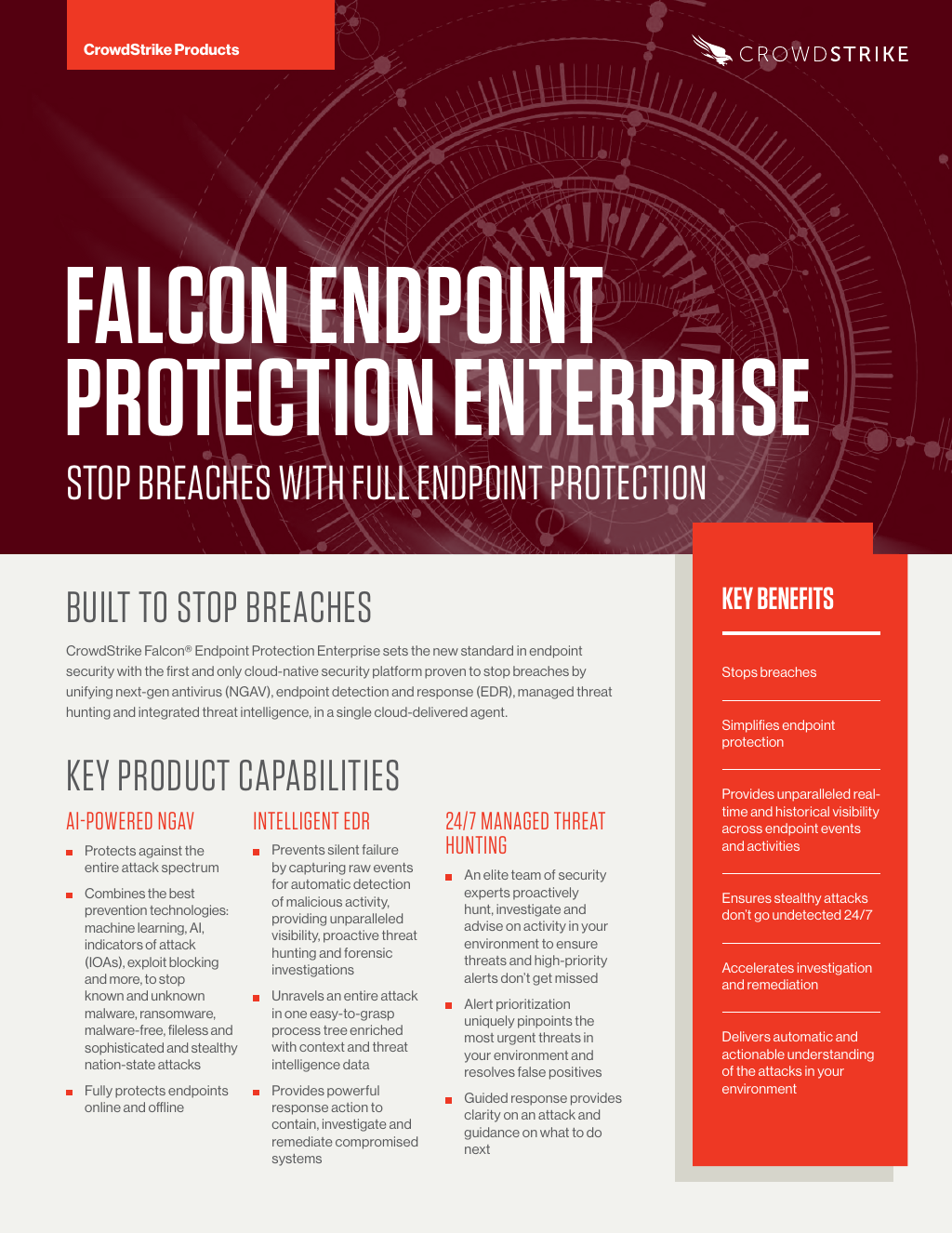 Data Sheet Falcon Enterprise